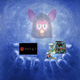 Illustration for article titled A Night in Gaming: (PC) Minecraft